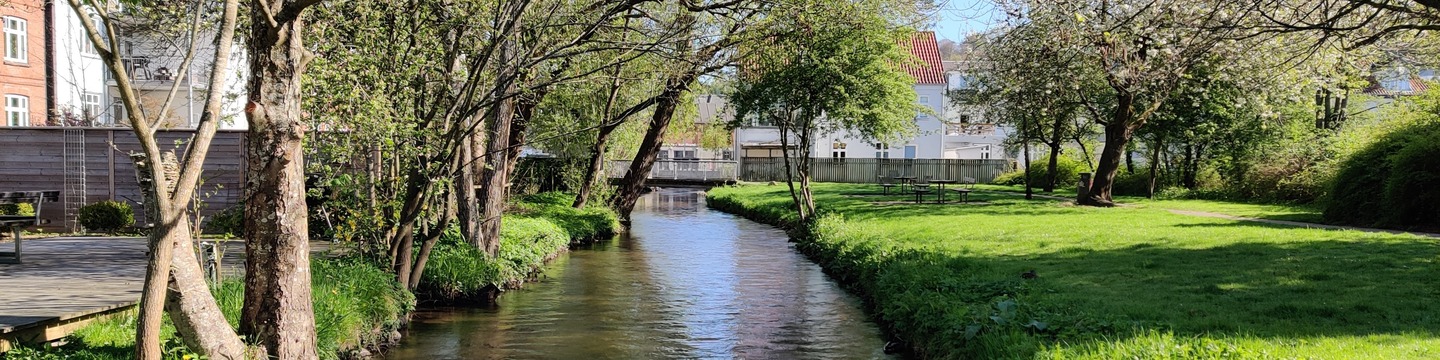 Billede fra grønt område ved omløbsåen i Vejle