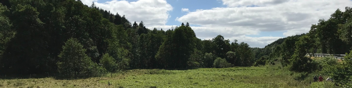Klima og biodiversitet kan gå hånd i hånd i den grønne omstilling